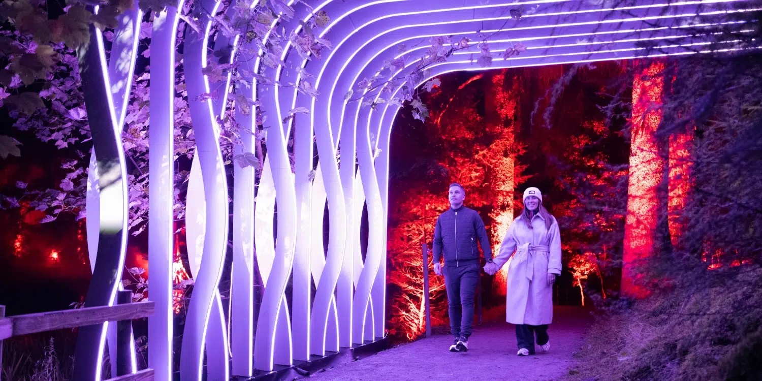 Enchanted Forest Coach Trip