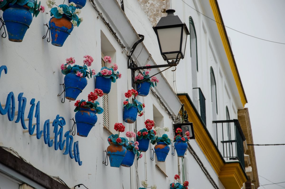 Flower-filled whitewashed street in Cadiz