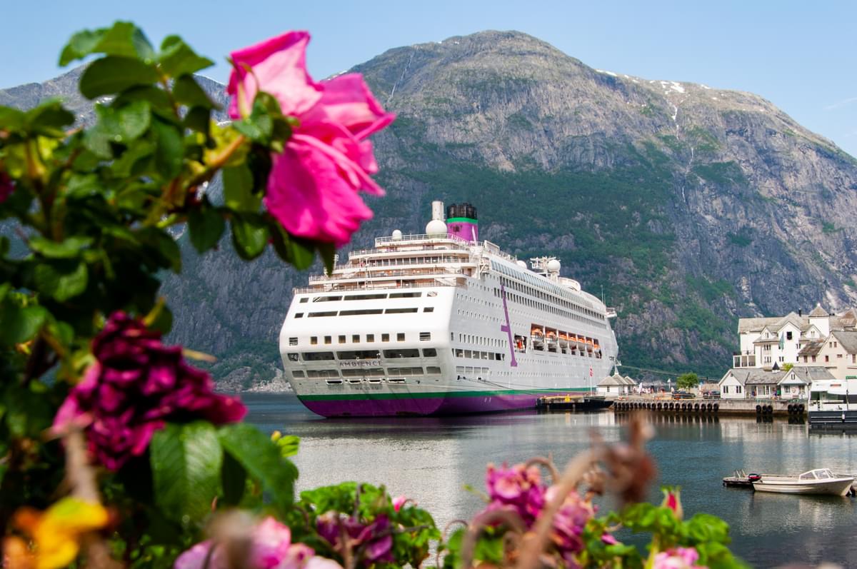Norwegian fjord landscape