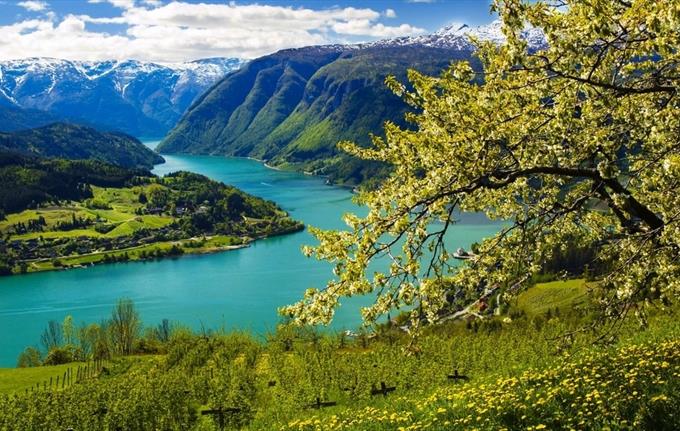 Hardangerfjord, Norway