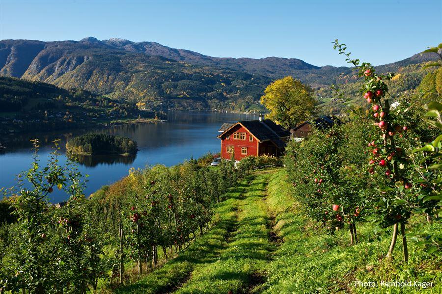 Ulvik beside Hardangerfjord, Norway
